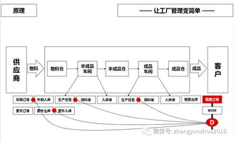 柔性制造体系 下 信息系统和组织基础保障